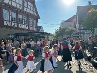 Maibaum 1