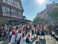 Maibaum 2025