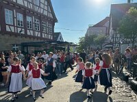 Maibaum 3