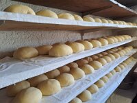 a4638982-137a-4a69-9725-4c48c419e276